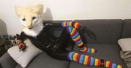 sergnderg sexe de star du porno image