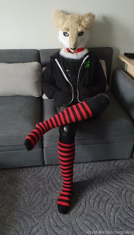 sergnderg estrella del arte fotos