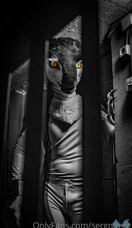 sergnderg nus étoiles archive