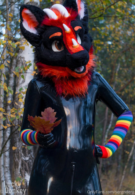 sergnderg modèle chaud collection