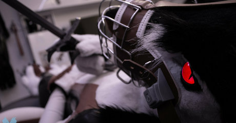 sergnderg étoile exclusive galerie