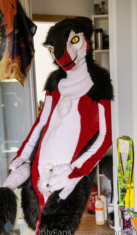 sergnderg étoile de l'art image