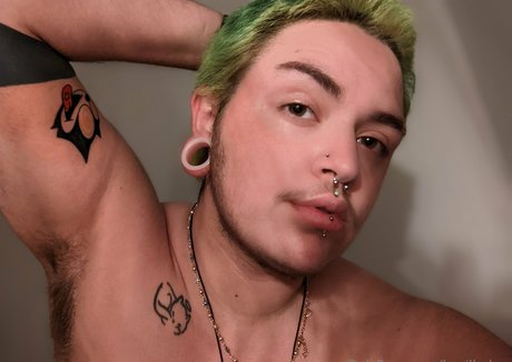 basilbabyy estrella agradable galerías