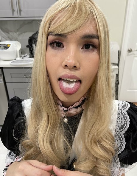 sammismith26 estrella libre imagen