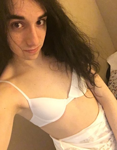 Orcastraw modelo superior archivo