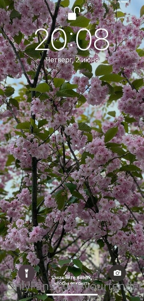 Barba Onlyfans bonito imagen