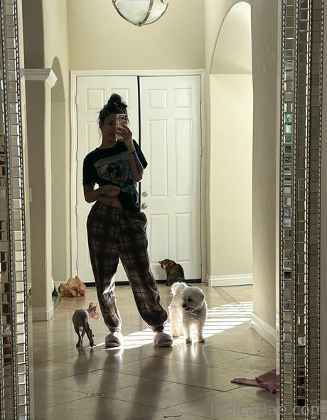 Indicabae modèle artistique img