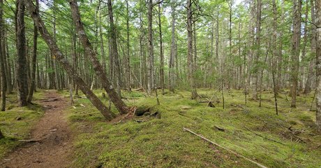 emberblazexxx beau modèle archive