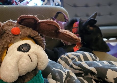 emberblazexxx estrella porno desnuda imágenes