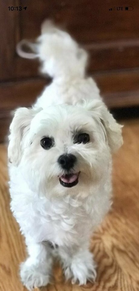 shanma actriz desnuda galerías