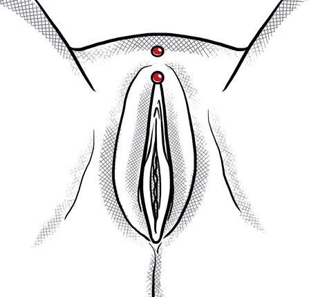 jimakitty jolie étoile galerie