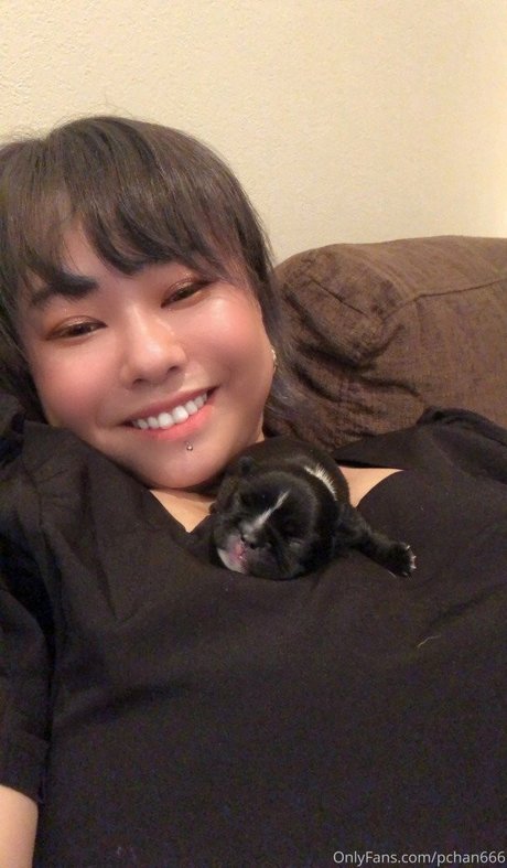 Pchan 666 estrella perfecta recopilación