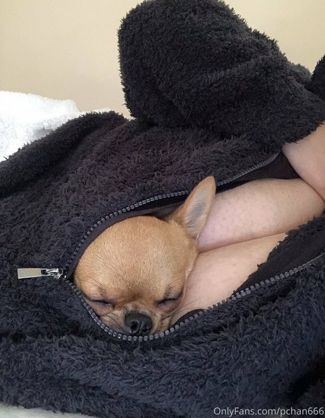 Pchan 666 étoile de l'art galeries