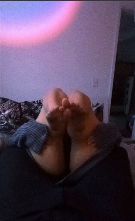 Melitta Coffee jolie étoile images