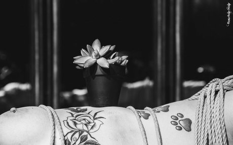 snaccs1zed estrella desnuda archivo