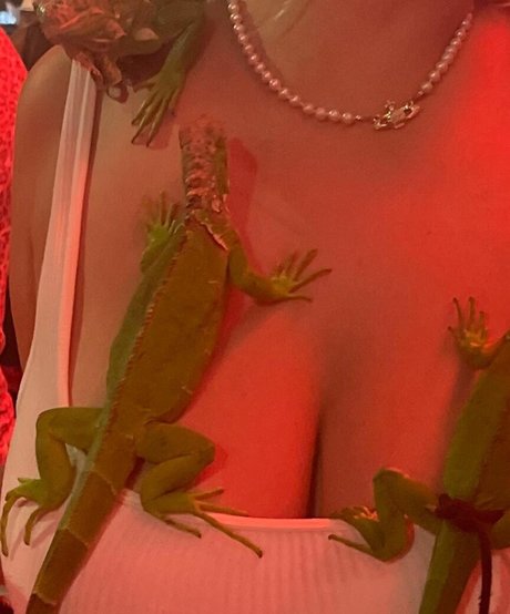 Holly Youpa estrella de alta calidad imagen