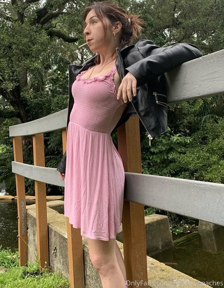 swallowpeaches estrella porno mejor imágenes