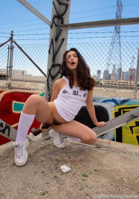 janewilde estrella porno de arte galerías