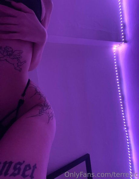 terrezic hermosa estrella galerías