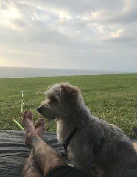 male feet uk actriz porno foto