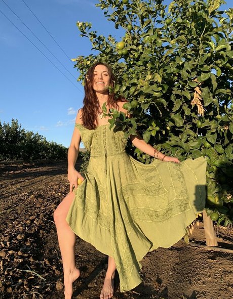 ashleylfrench meilleure star du porno collection