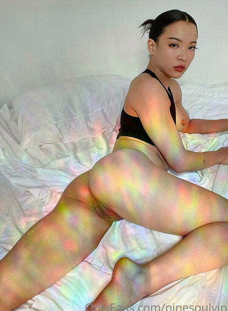 Pinesoul estrella porno en alta definición archivo