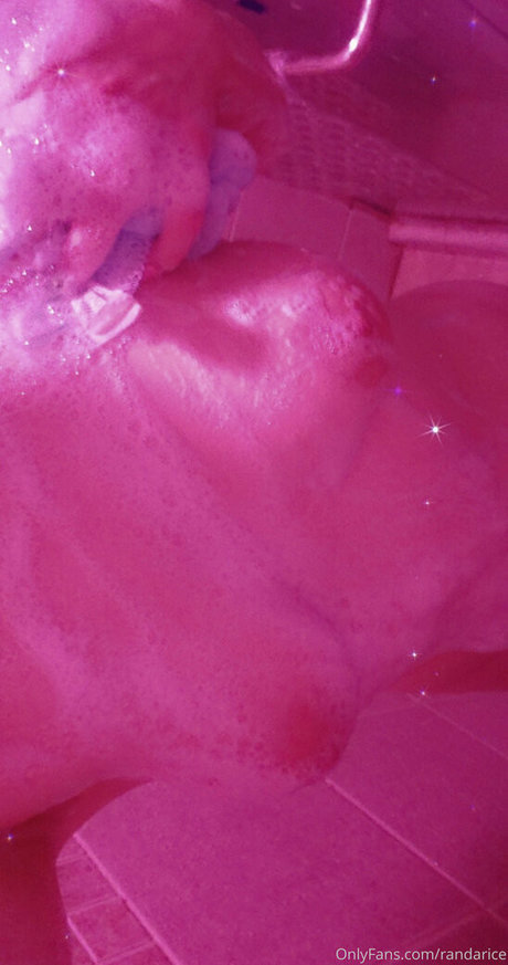 randarice modèle de haute qualité archive