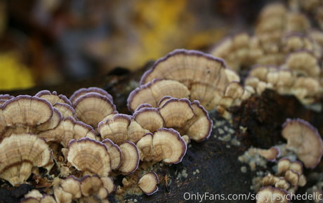 sexypsychedelic estrella porno imágenes