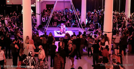 knottydevil bonita estrella galería