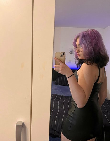 miniasuna modelo exclusivo archivo