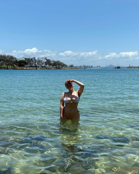 Scoutcohen modelo libre archivo