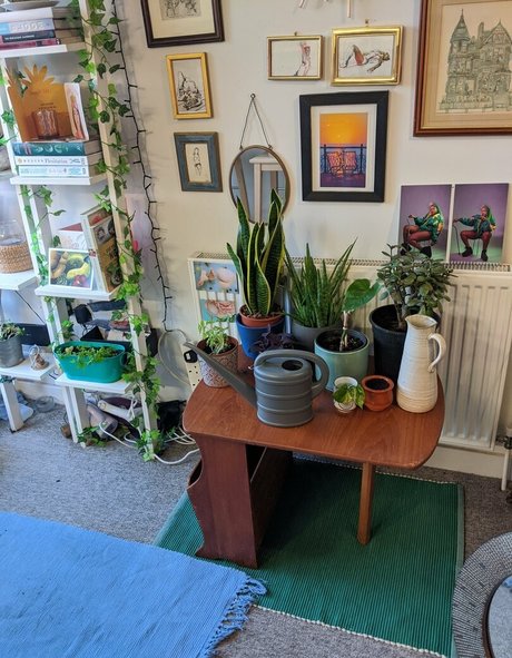 lunarouxfree estrella hermosa fotos