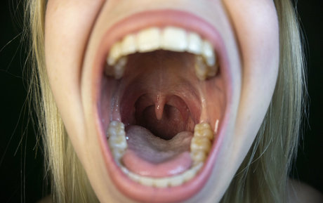 codivorefree estrella libre imagen