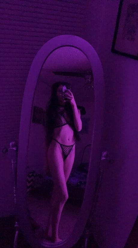 salemsienna étoile de haute qualité galeries