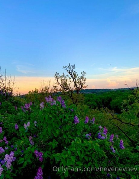 nevenevnev actrice parfaite collection