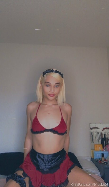 nevenevnev étoile adulte galerie