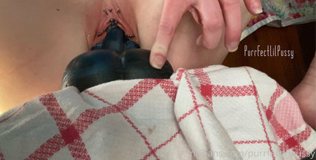 purrfectlilpussy estrella del arte galerías