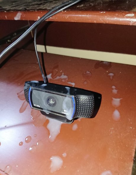 abigael sanchez star du porno nue images