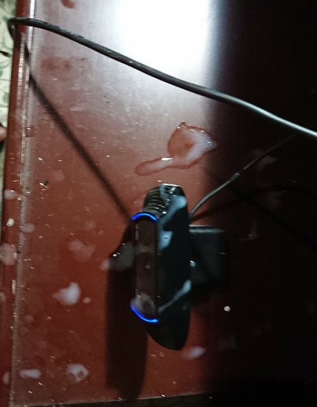 abigael sanchez étoile chaude collection