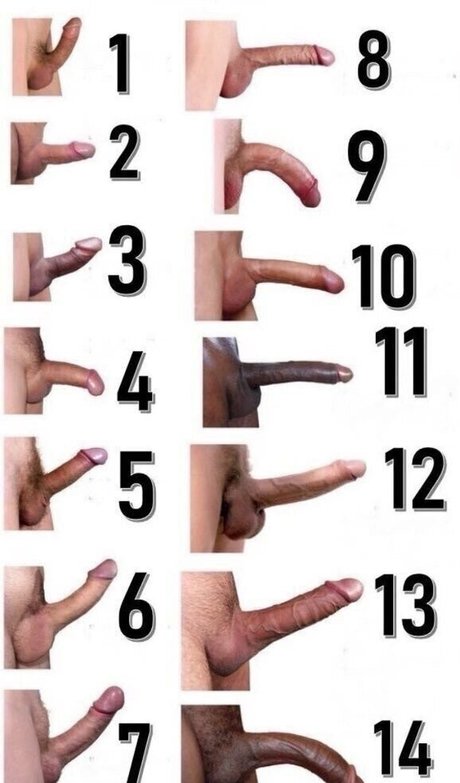 curvylucina étoile nue images