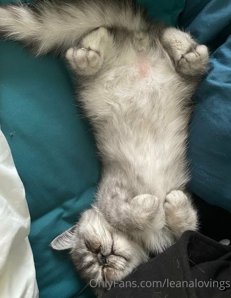 leanalovings hermosa estrella foto