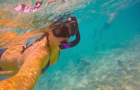 jaydencole actrice adulte galeries