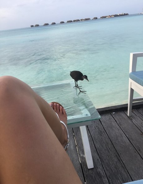 jaydencole mannequin galeries