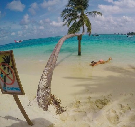 jaydencole étoile nue galerie