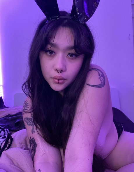 cumdumplin star du porno photo