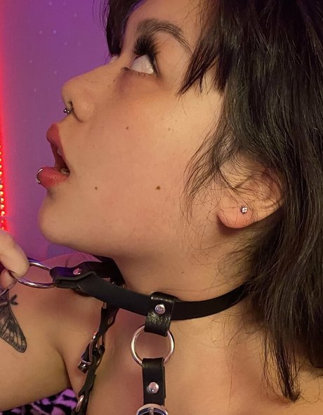 cumdumplin mejor estrella archivo