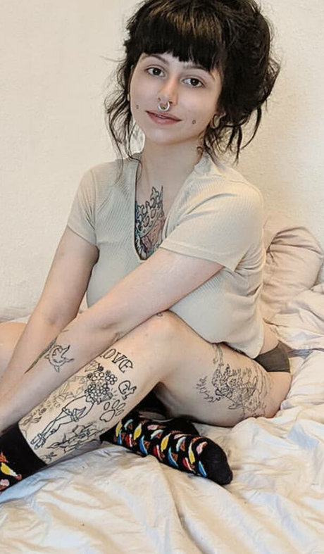 Zainab libre de estrellas archivo