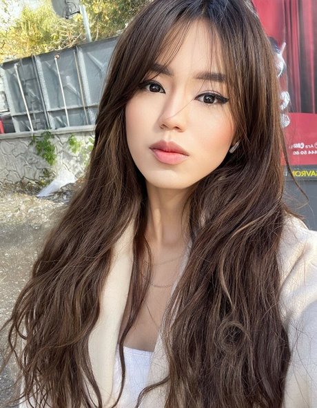 Zhang estrella perfecta archivo