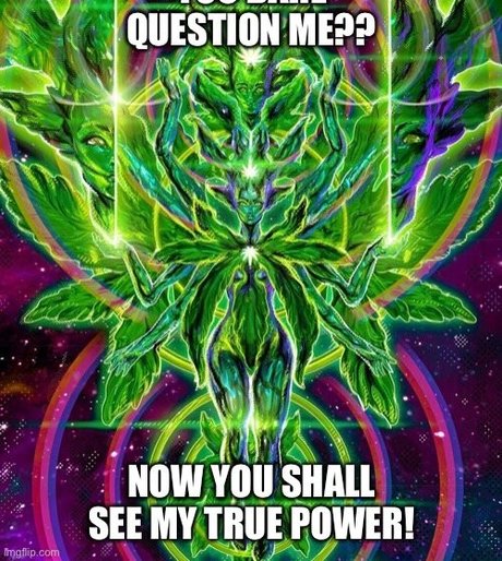 Penny Brown estrella bonita fotos