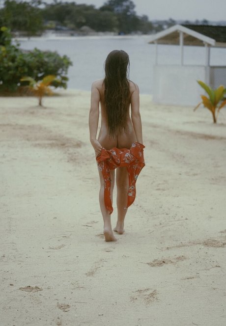 Bella Bel 1 nus de stars du porno collection